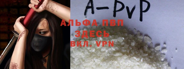 гашик Белокуриха