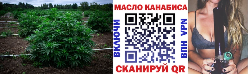 hydra ССЫЛКА  Заречный  ТГК Wax 