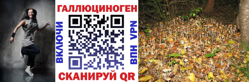ссылка на мегу онион  Заречный  Галлюциногенные грибы GOLDEN TEACHER 